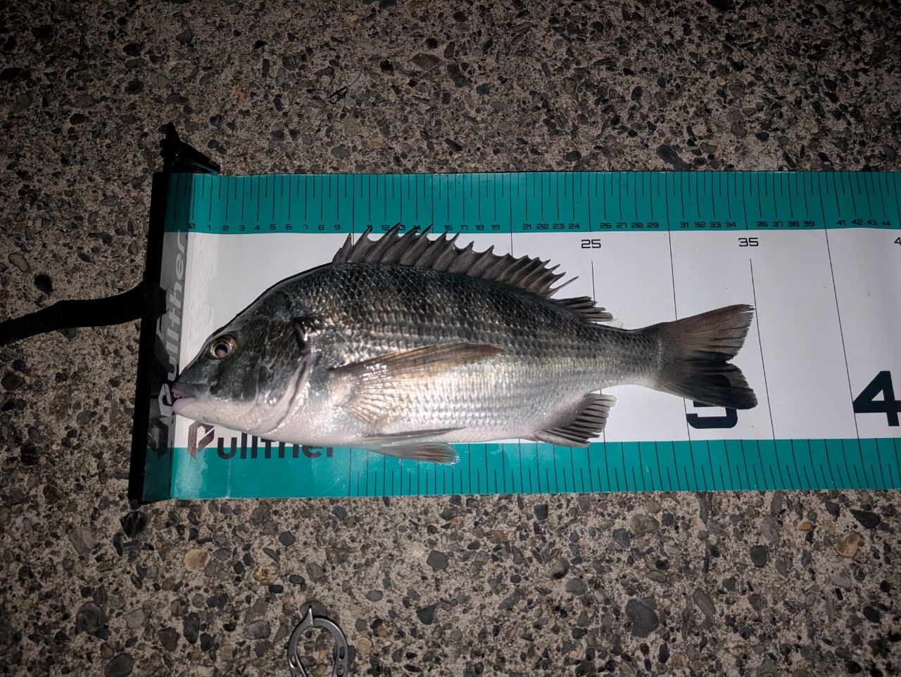 SHIMANO 23バスワン XT+ 1610H-SB/2の最安値・インプレ・釣果 | 本音の