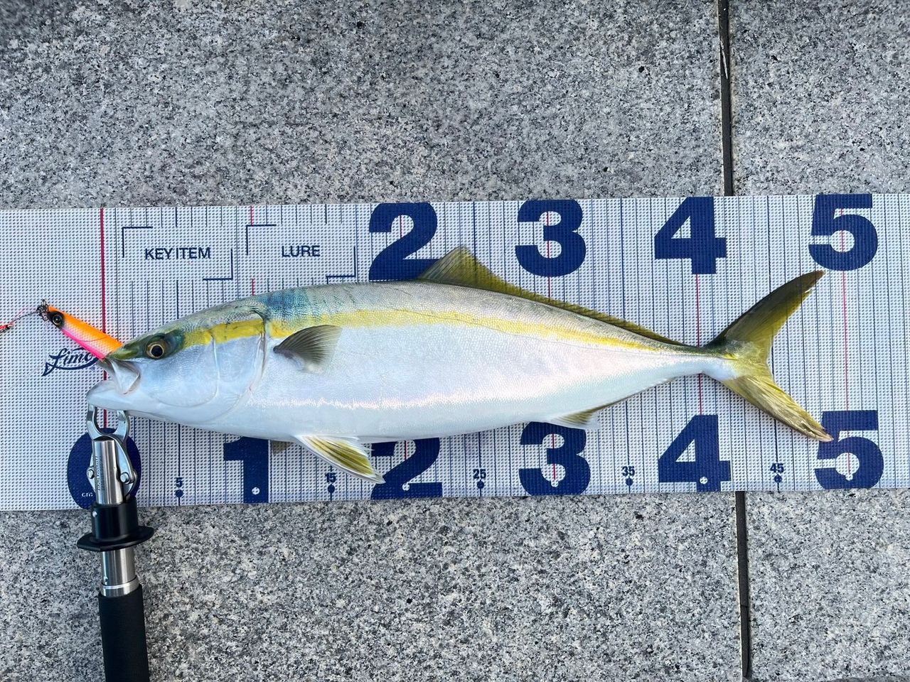 SHIMANO 20ストラディック SW 4000HGの最安値・インプレ・釣果 | 本音