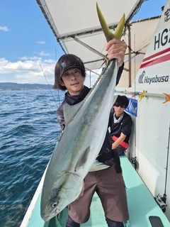 ブリの釣果