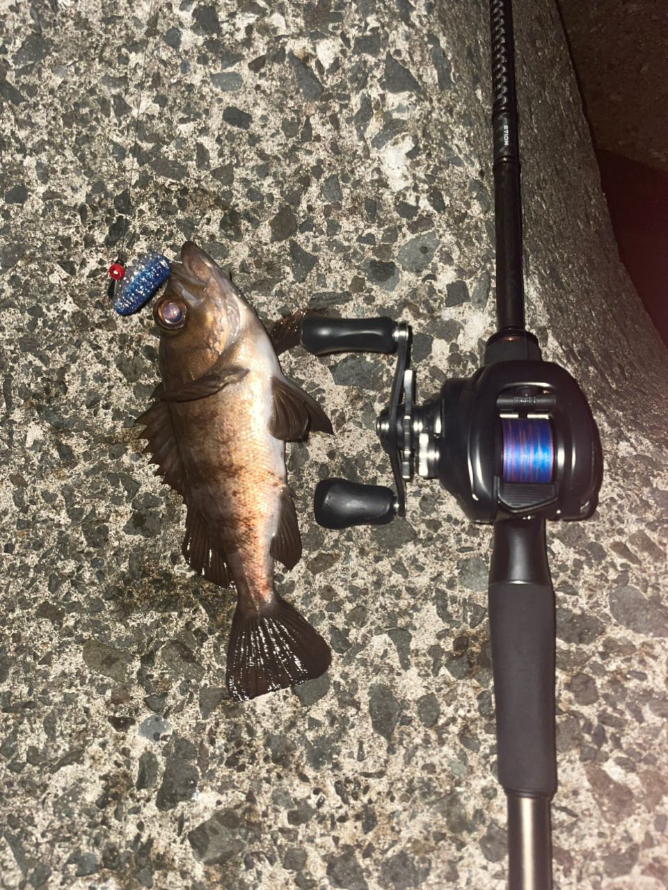 SHIMANO 22バンタム XG LEFTの最安値・インプレ・釣果 | 本音の口コミ