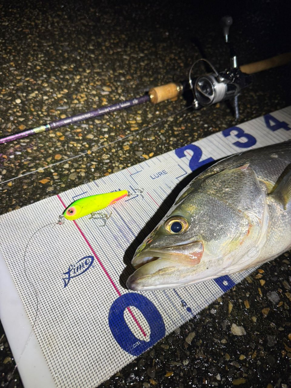 SHIMANO 22ステラ 3000MHGの最安値・インプレ・釣果 | 本音の口コミが