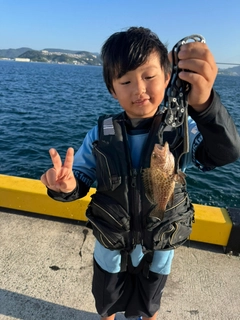 オオモンハタの釣果