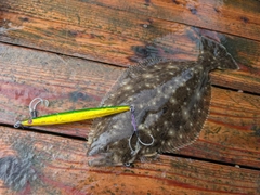 ソゲの釣果