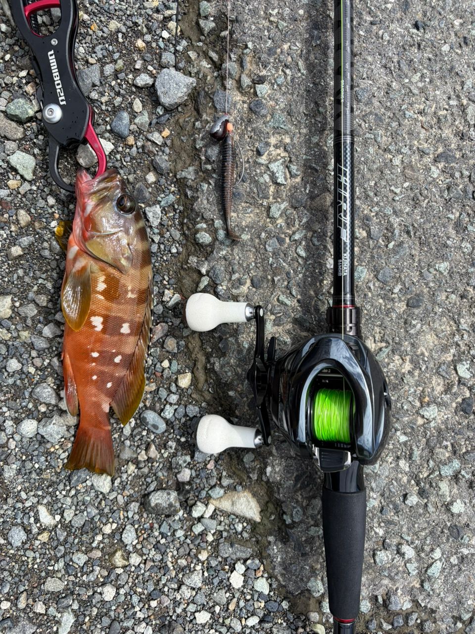 SHIMANO 18アンタレス DC MD XG LEFTの最安値・インプレ・釣果 | 本音