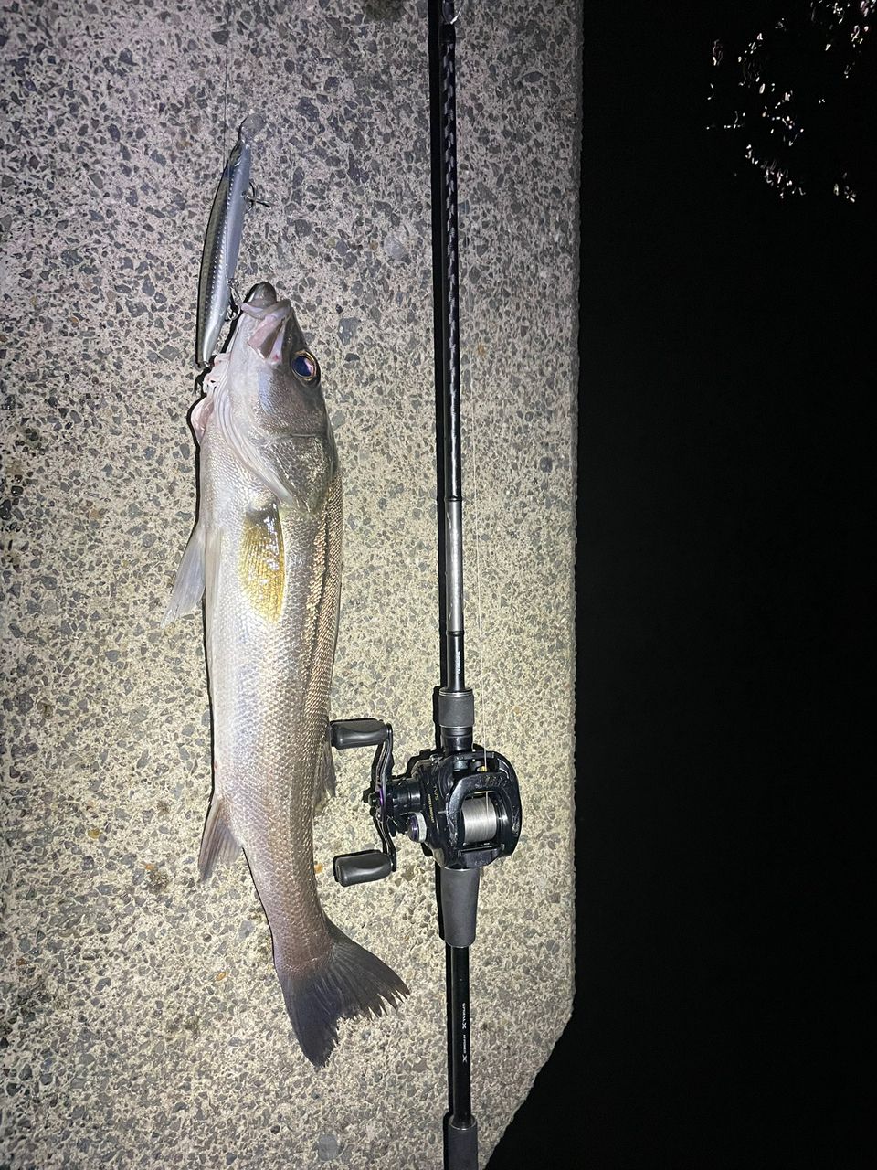 SHIMANO 18ディアルーナ B96Mの最安値・インプレ・釣果 | 本音の口コミ