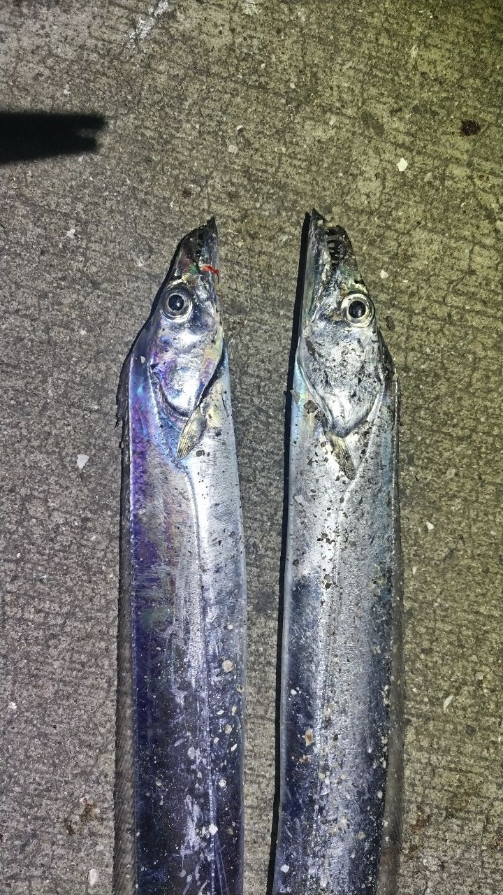 DAIWA 21モアザン ブランジーノ EX AGS 1010ML/Mの最安値・インプレ