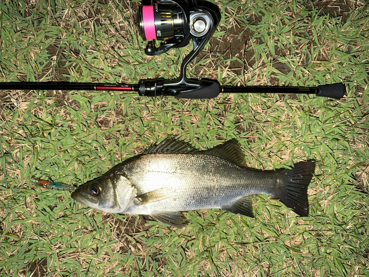 DAIWA 23月下美人 AIR 68L-T・Wの最安値・インプレ・釣果 | 本音の