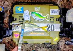 マアジの釣果