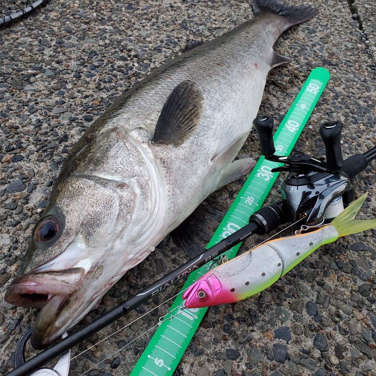 SHIMANO ディアルーナ BS B63Hの最安値・インプレ・釣果 | 本音の