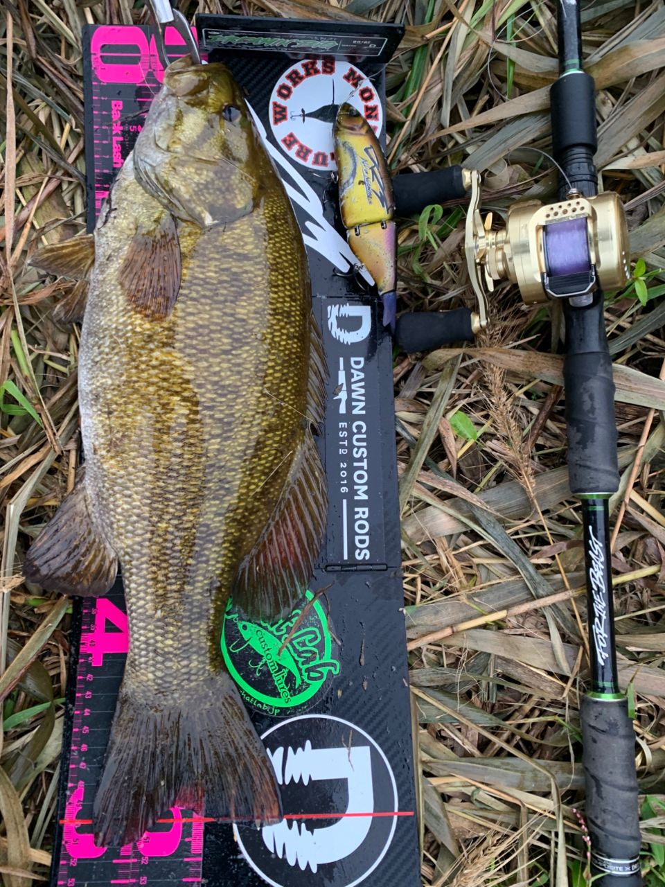 SHIMANO 23カルカッタコンクエスト MD 301XGLHの最安値・インプレ