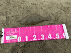 ヒラメの釣果