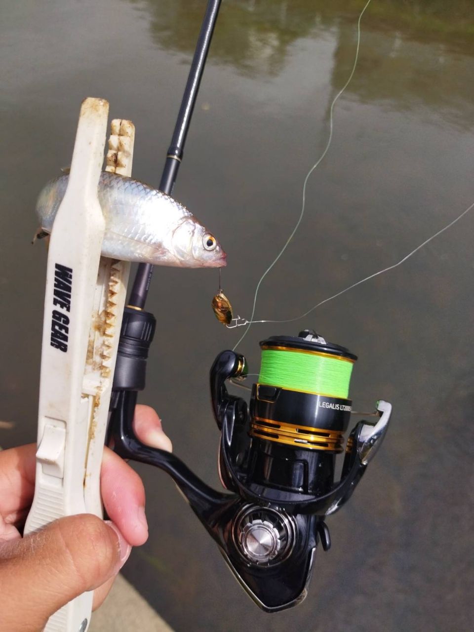 SHIMANO 22ソアレ SS アジング S58UL-Sの最安値・インプレ・釣果