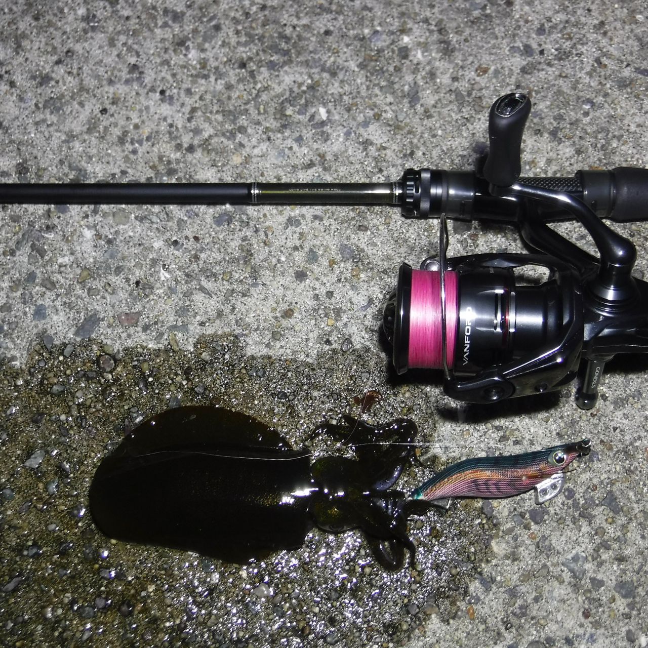 SHIMANO 20ヴァンフォード 2500Sの最安値・インプレ・釣果 | 本音の