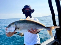カンパチの釣果