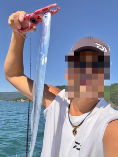 タチウオの釣果