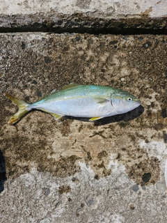 釣果