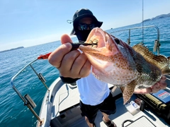 オオモンハタの釣果