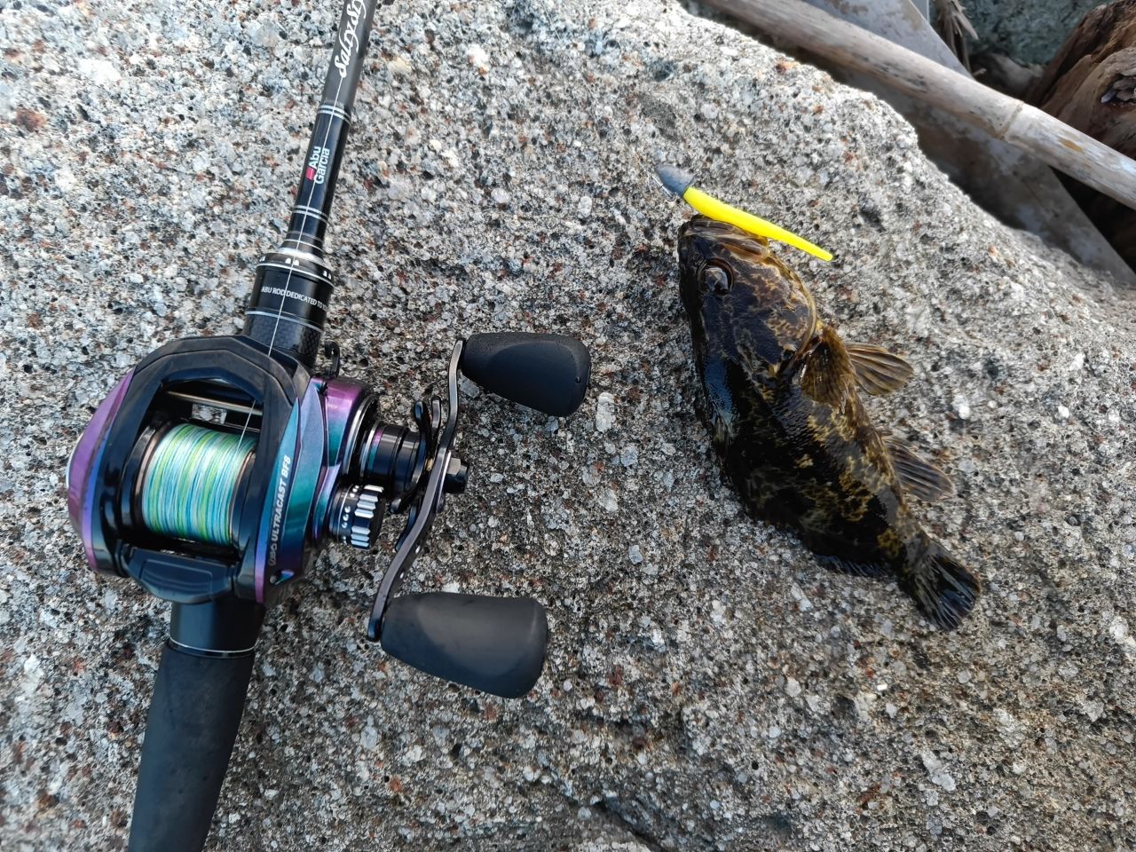 AbuGarcia 20レボ ウルトラキャスト BF8 Rの最安値・インプレ・釣果