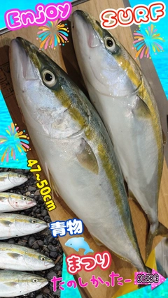イナダの釣果