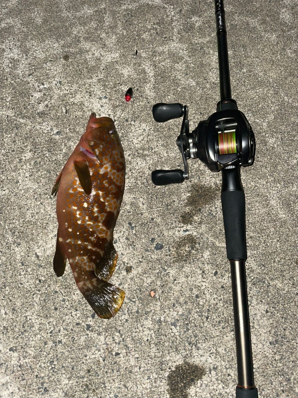 SHIMANO 20ハードロッカー XR B710Mの最安値・インプレ・釣果 | 本音の