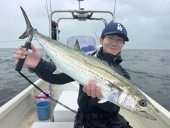 サワラの釣果