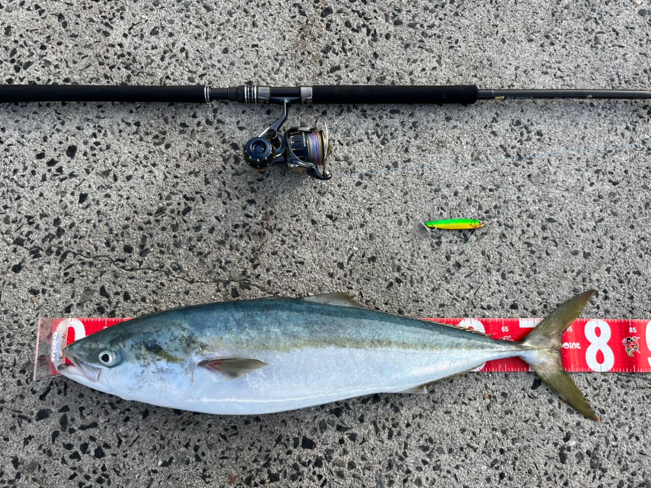 DAIWA 23ソルティガ 6000-Hの最安値・インプレ・釣果 | 本音の口コミが