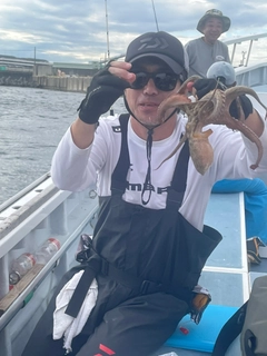 タコの釣果