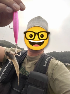 メゴチの釣果