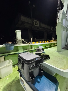 メダイの釣果