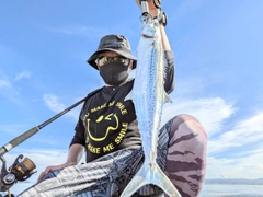 サゴシの釣果