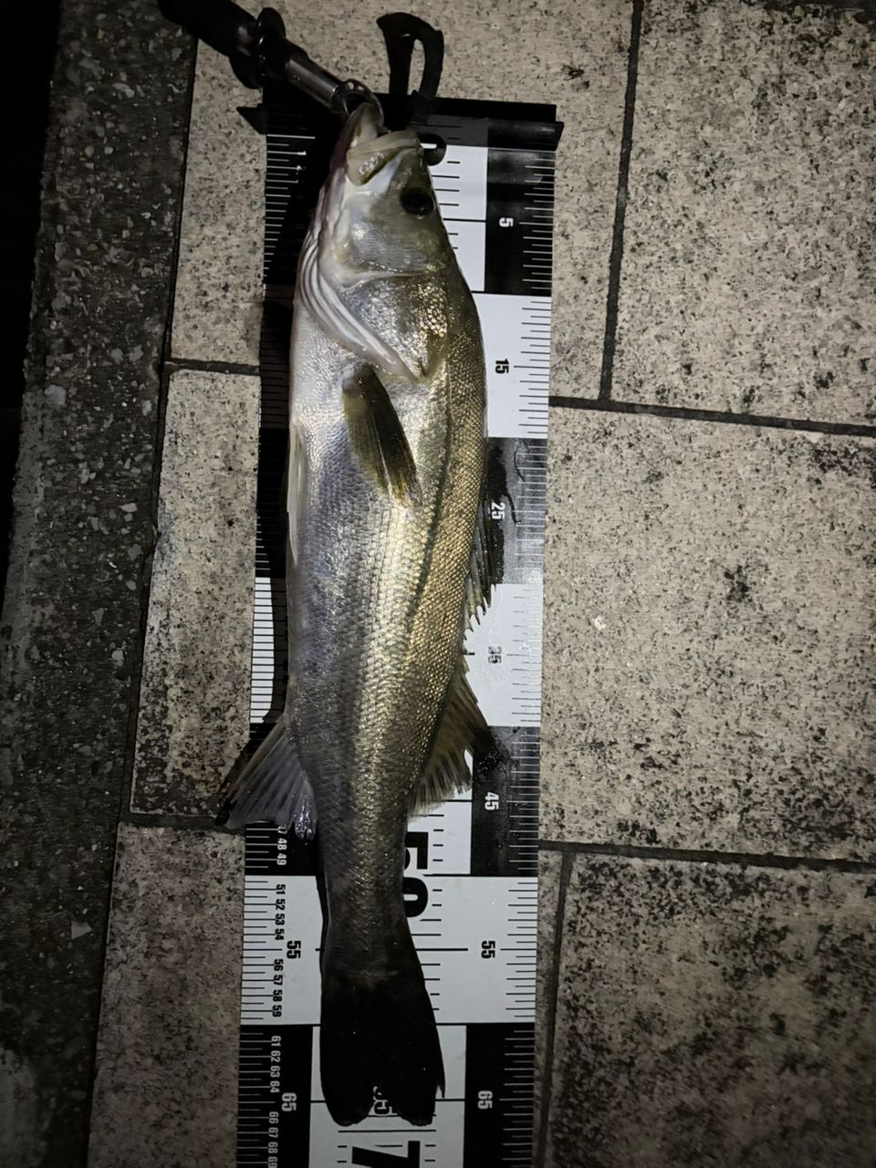 DAIWA 21ラブラックス AGS 93MLの最安値・インプレ・釣果 | 本音の