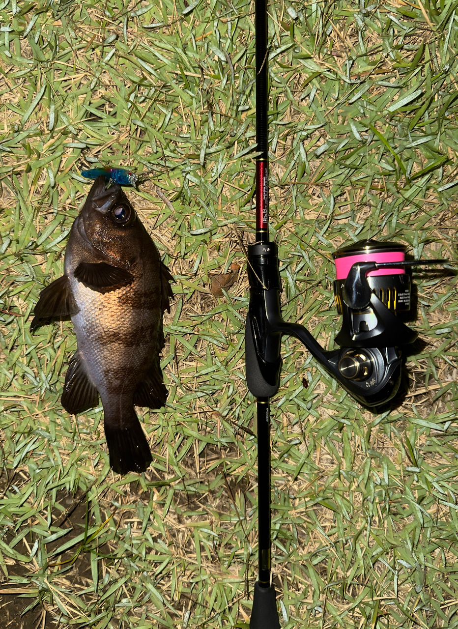 DAIWA 23月下美人 AIR 68L-T・Wの最安値・インプレ・釣果 | 本音の
