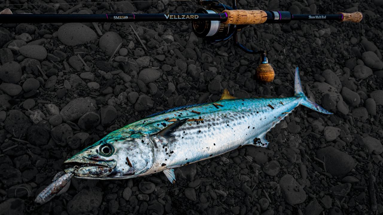 SHIMANO 19ヴァンキッシュ 4000MHGの最安値・インプレ・釣果 | 本音の