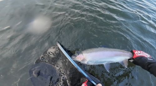 寝不足あんぐら~Dの日常さんの2026年09月22日(火)の釣行(北海道 - 屈