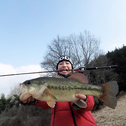 ラージマウスバスの釣果