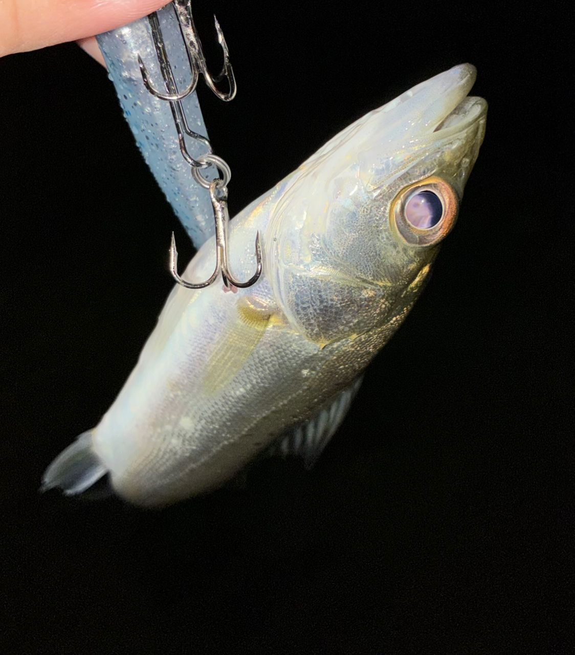 SHIMANO 23ルアーマチック（ソルトルアー推奨モデル） S96Mの最安値