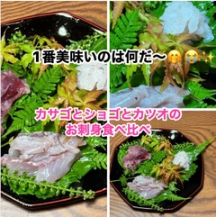ショゴの釣果