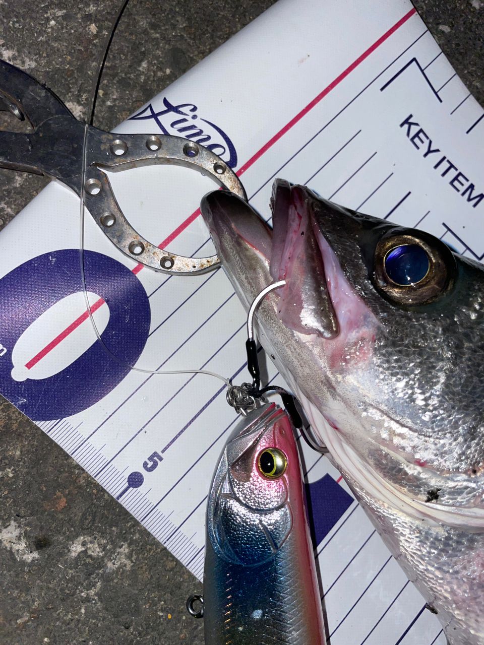 SHIMANO 21スコーピオン MD 301XGLH LEFTの最安値・インプレ・釣果