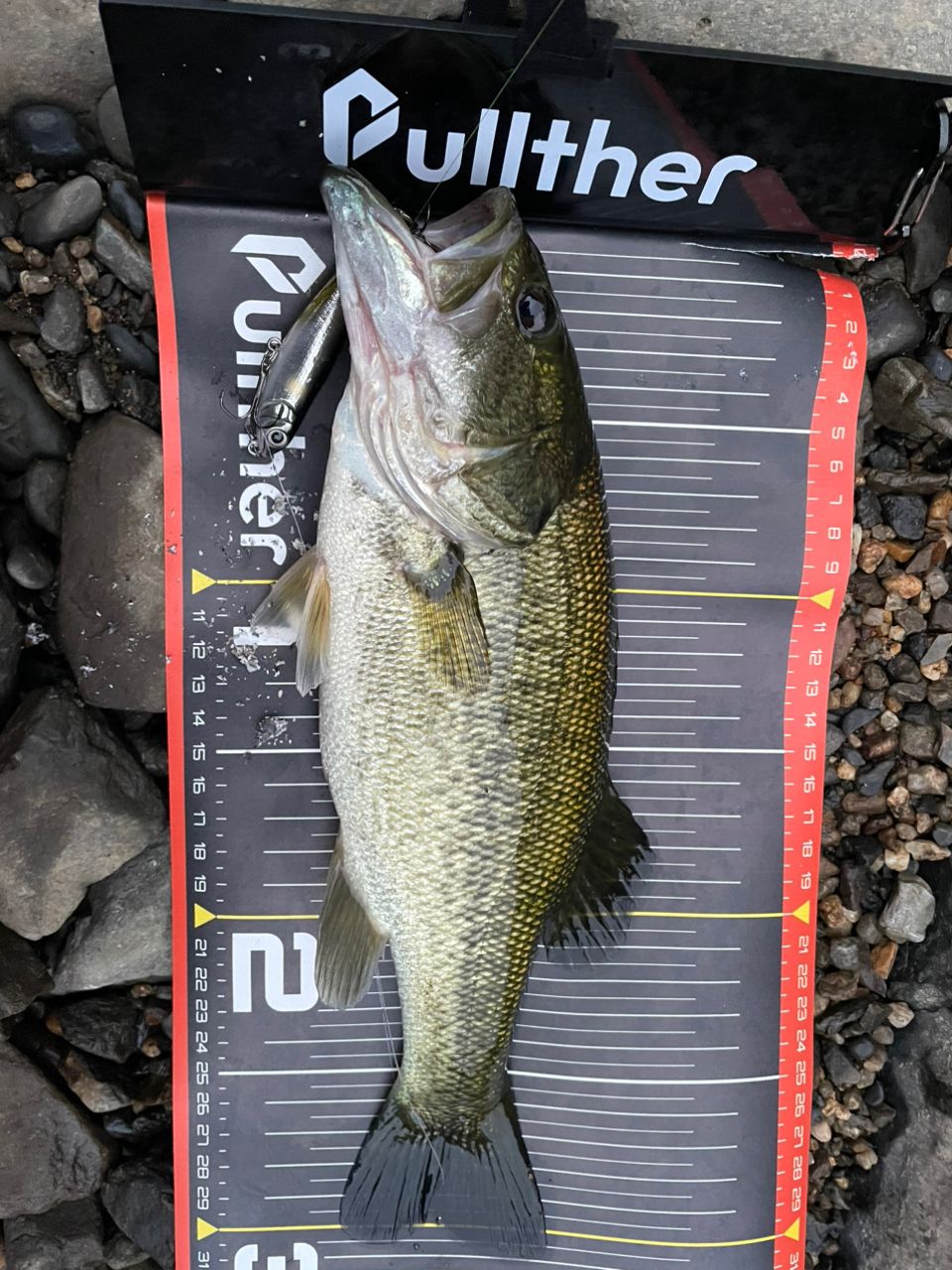 DAIWA 21ブレイゾン S67ML-2の最安値・インプレ・釣果 | 本音の口コミ