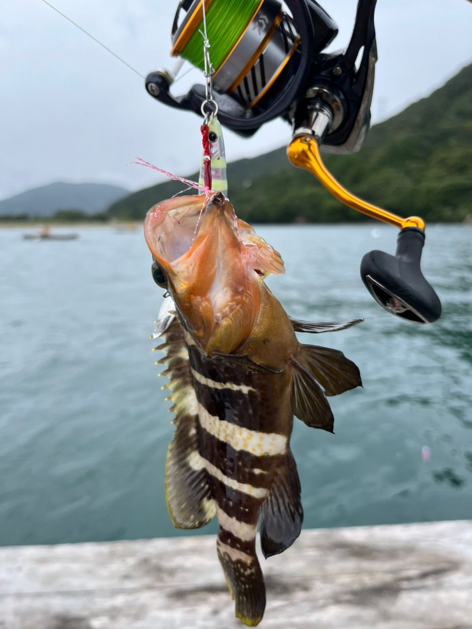 おまけ付き　アングラー・シリーズ　新技法による川の小物釣り アングラー75774128 さんの 2026年09月23日のチヌの釣り・釣果情報