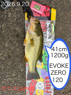 ブラックバスの釣果