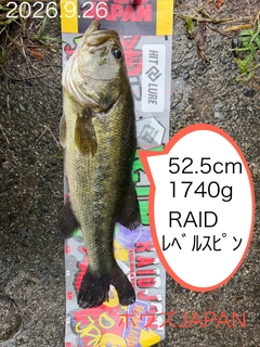 ブラックバスの釣果
