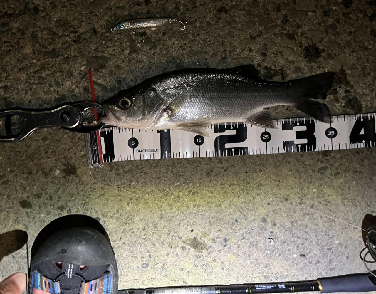 DAIWA 20ラテオ モバイル 90ML-4の最安値・インプレ・釣果 | 本音の