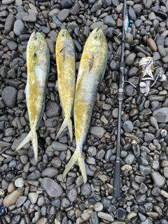 釣果