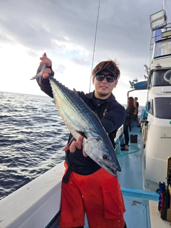 ハガツオの釣果