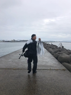 タチウオの釣果