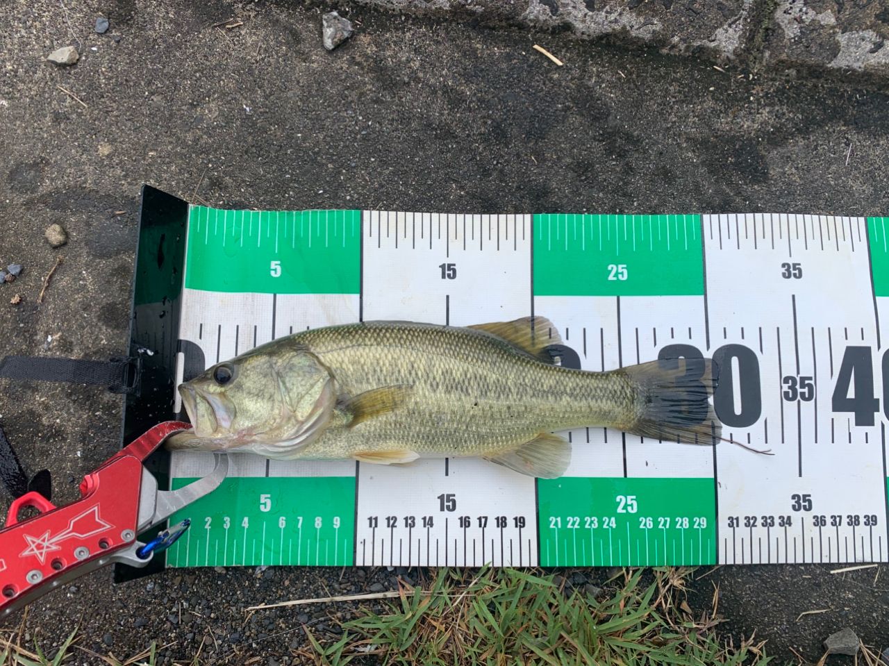 DAIWA 23タトゥーラ LT2500S-XH-QDの最安値・インプレ・釣果 | 本音の
