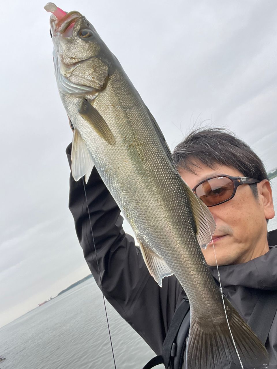 YAMAGA Blanks アーリー・フォーモバイルの最安値・インプレ・釣果