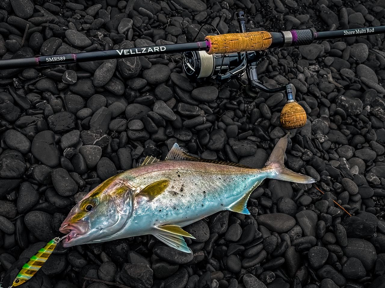 SHIMANO 19ヴァンキッシュ 4000MHGの最安値・インプレ・釣果 | 本音の