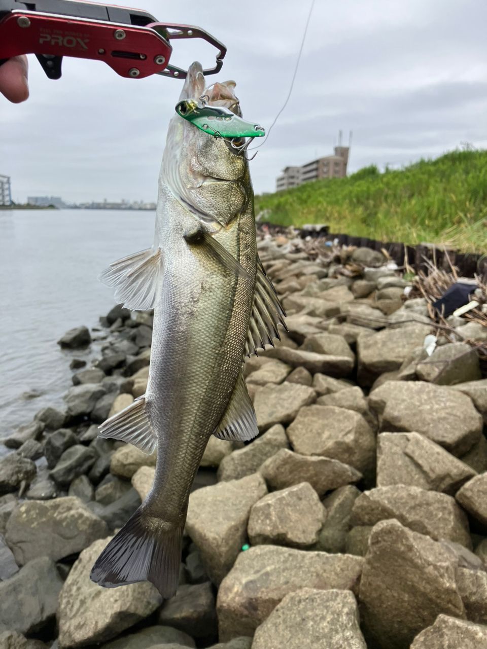 DAIWA 21ラブラックス AGS 96Mの最安値・インプレ・釣果 | 本音の